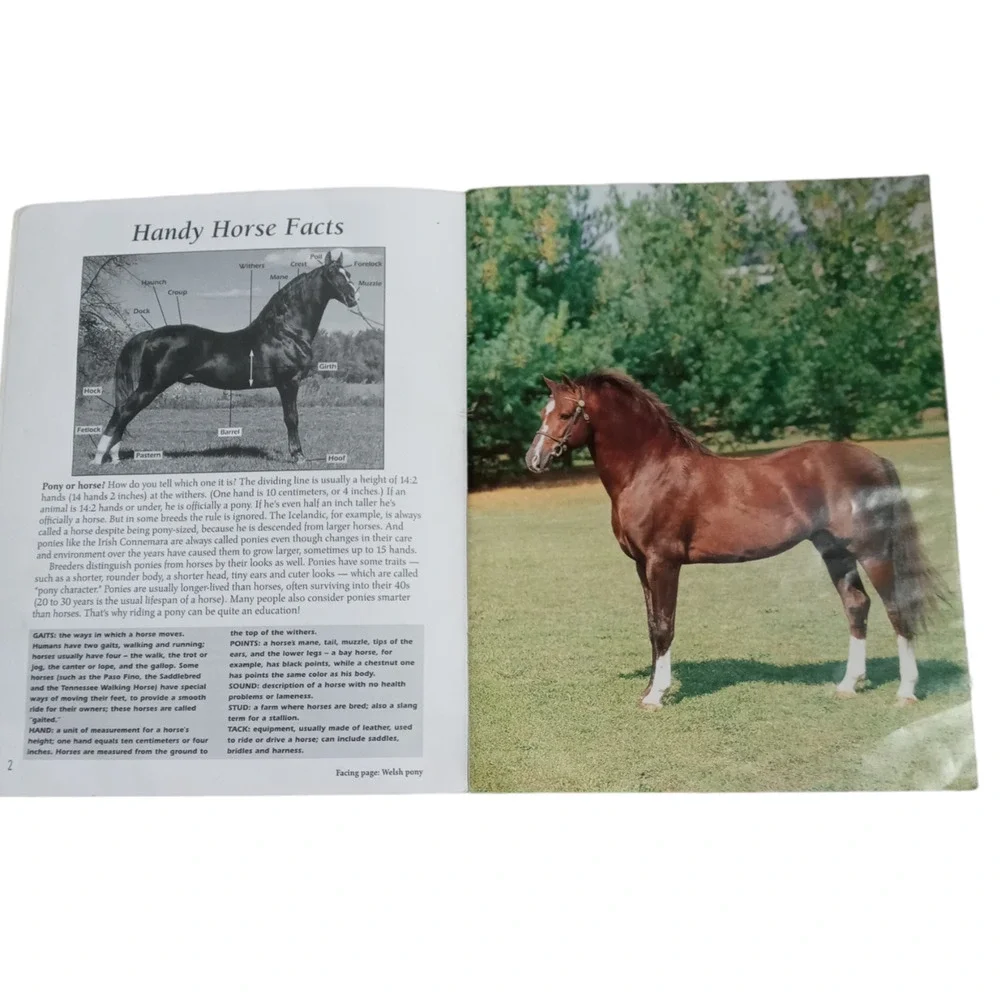 N/A crazy horses